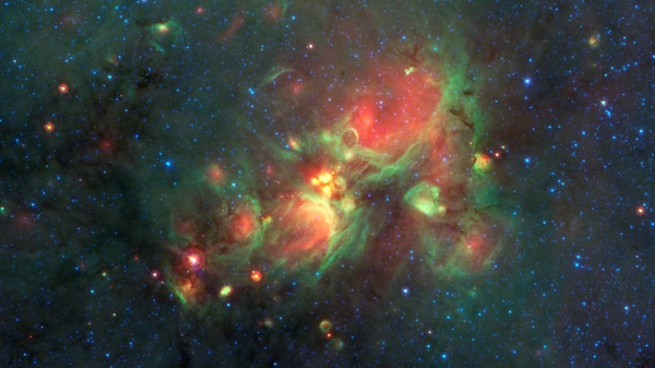 45 "Sarang Bintang" Ditemukan dalam Satu Kawasan — Apa yang Membuatnya Menarik?